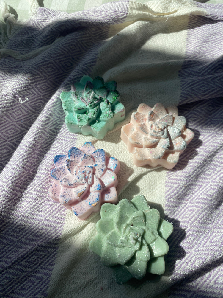 Succulent candles