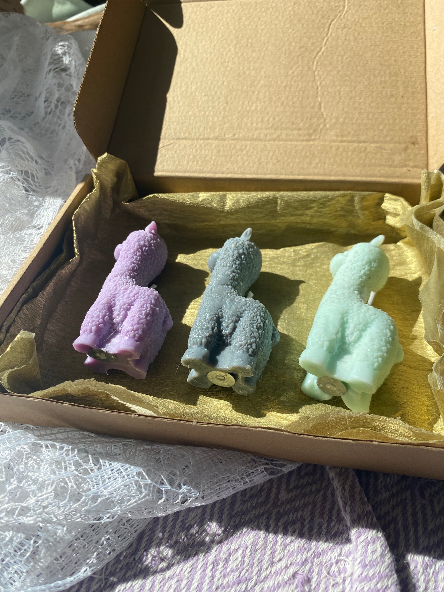 Llama candle gift box 💚