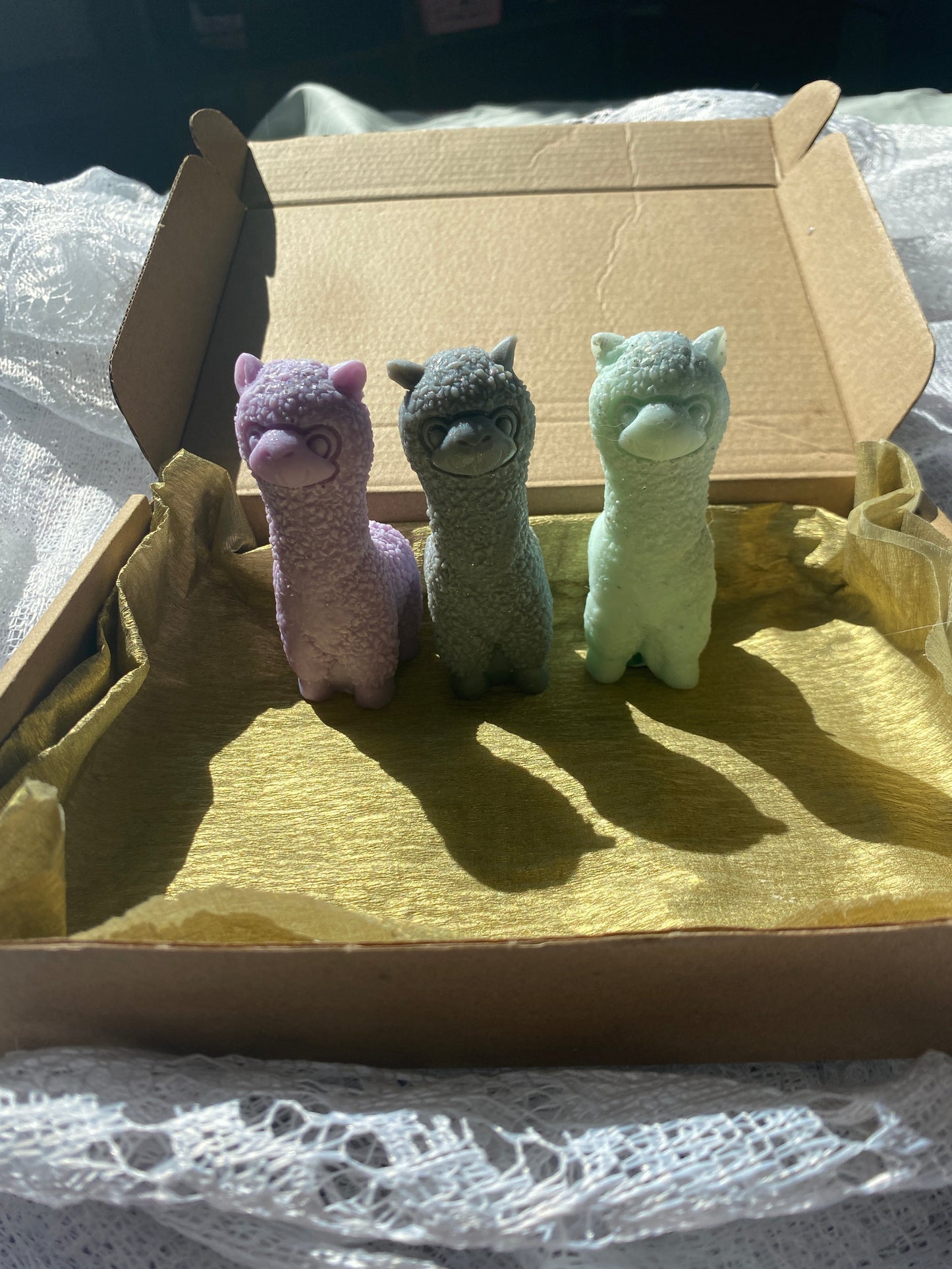 Llama candle gift box 💚