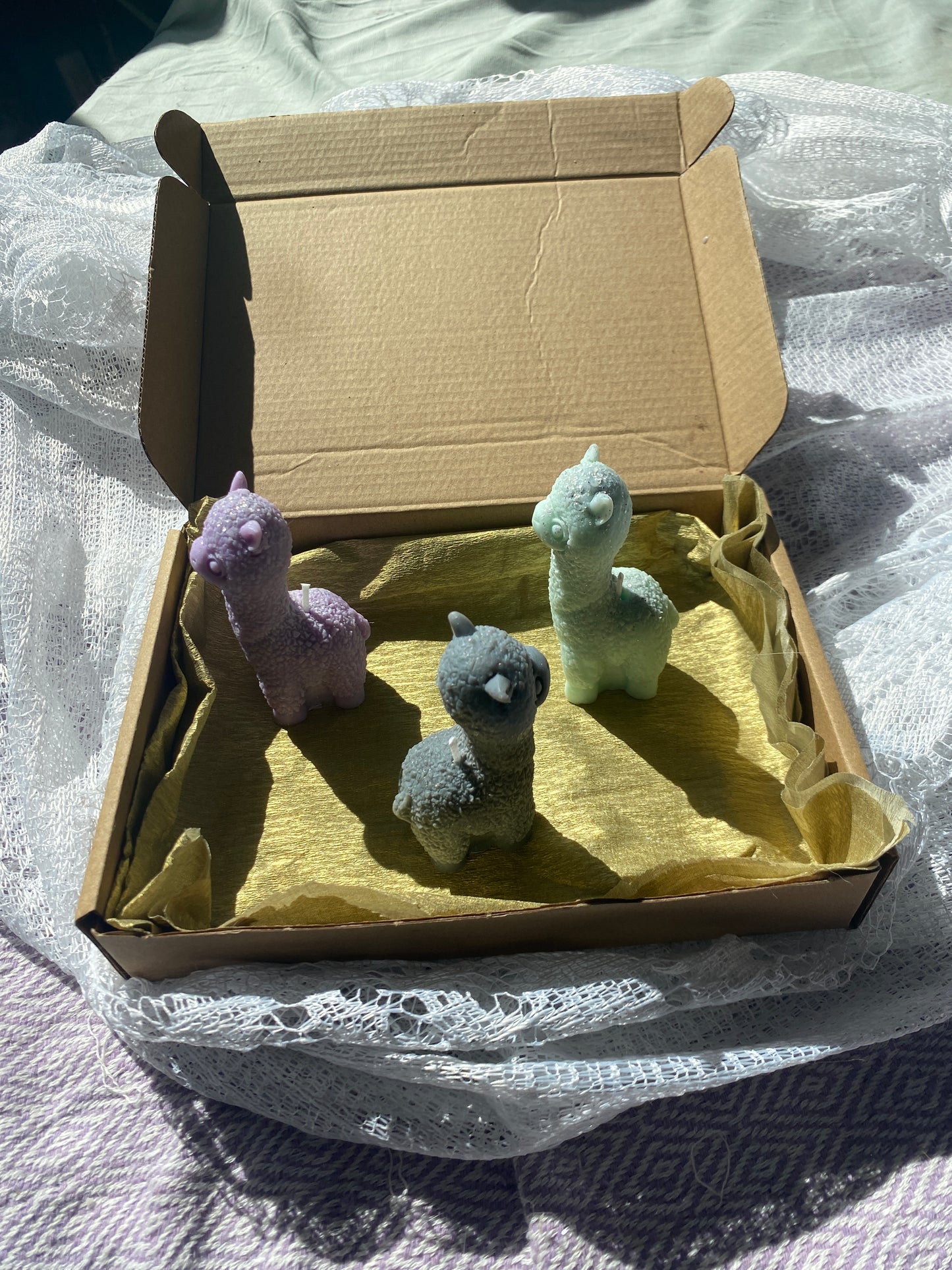 Llama candle gift box 💚