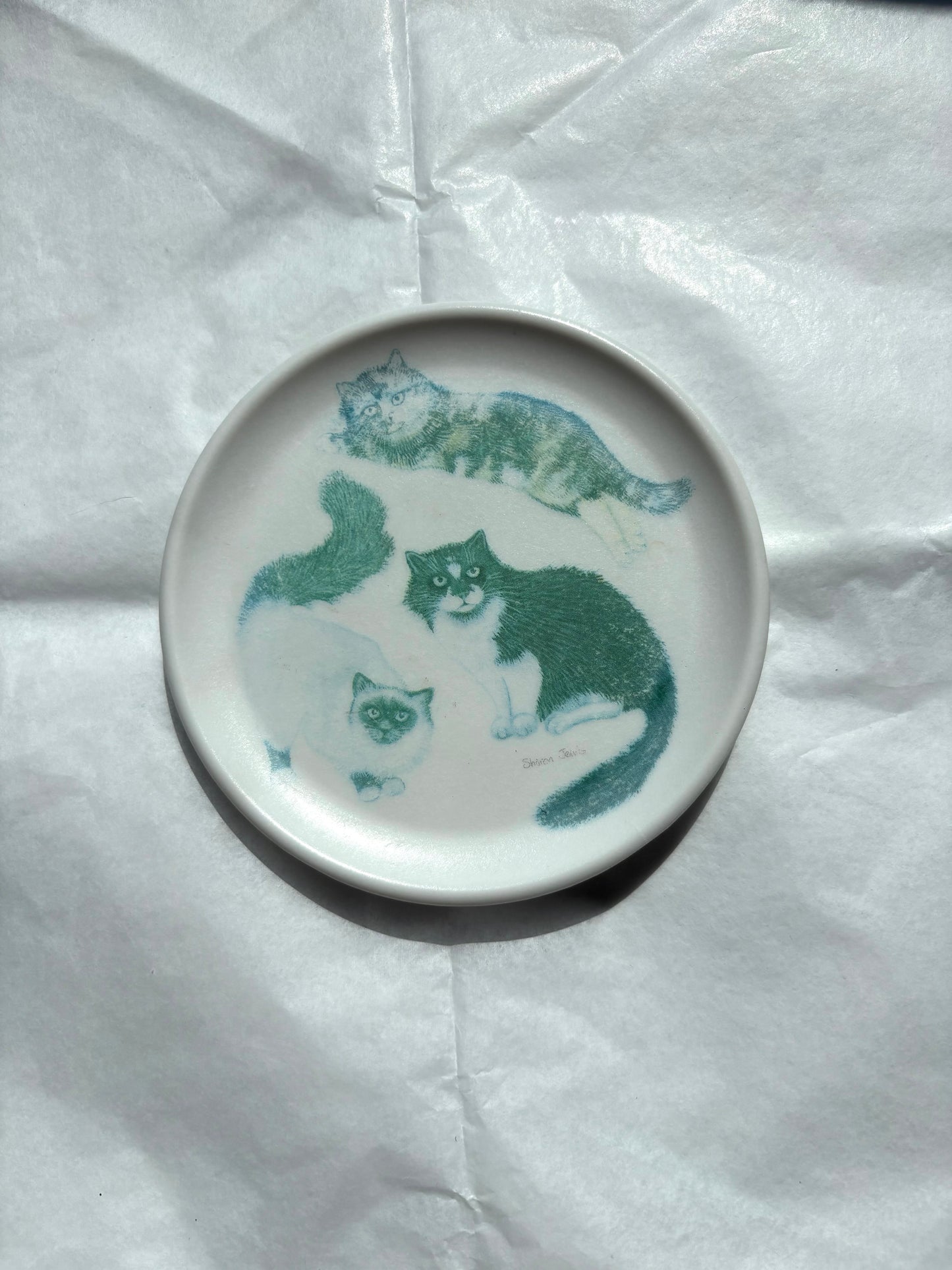 Magnet - Cats