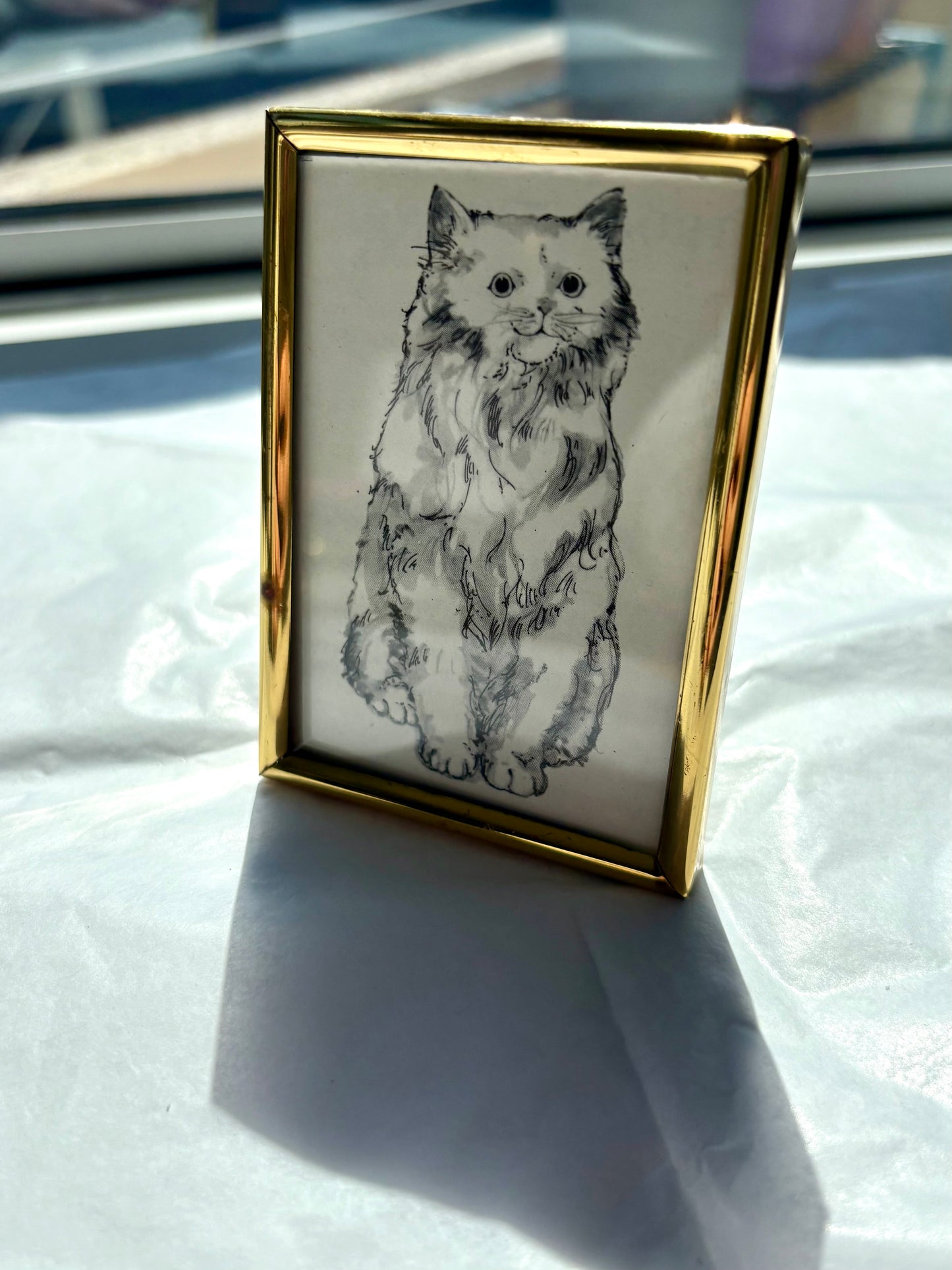 Magnet - Framed cat