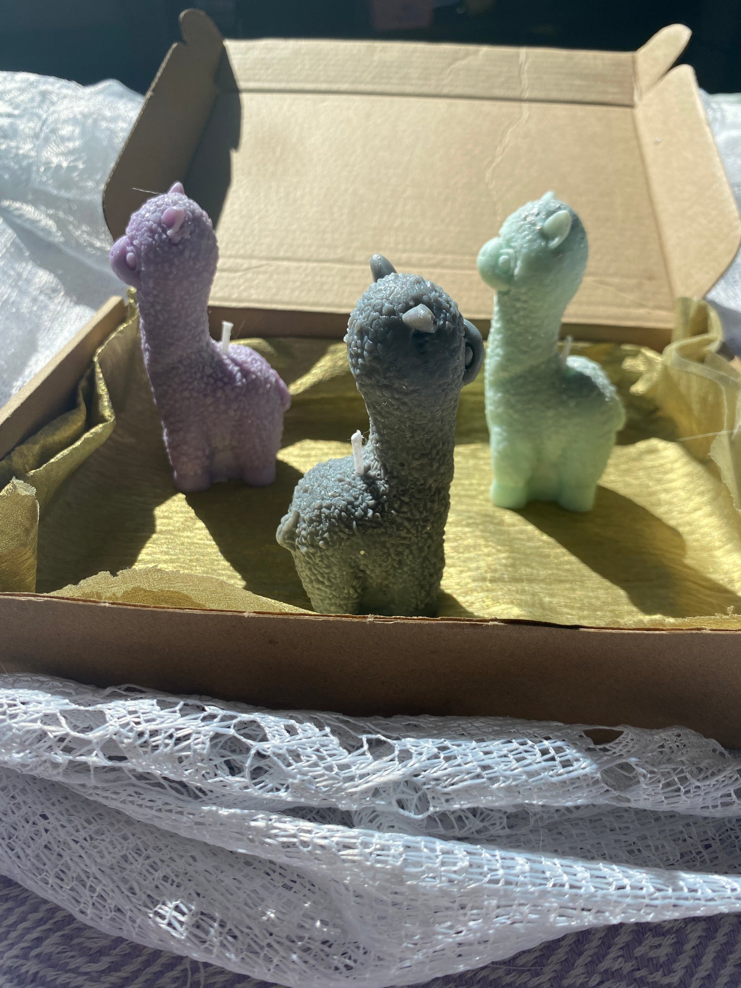 Llama candle gift box 💚
