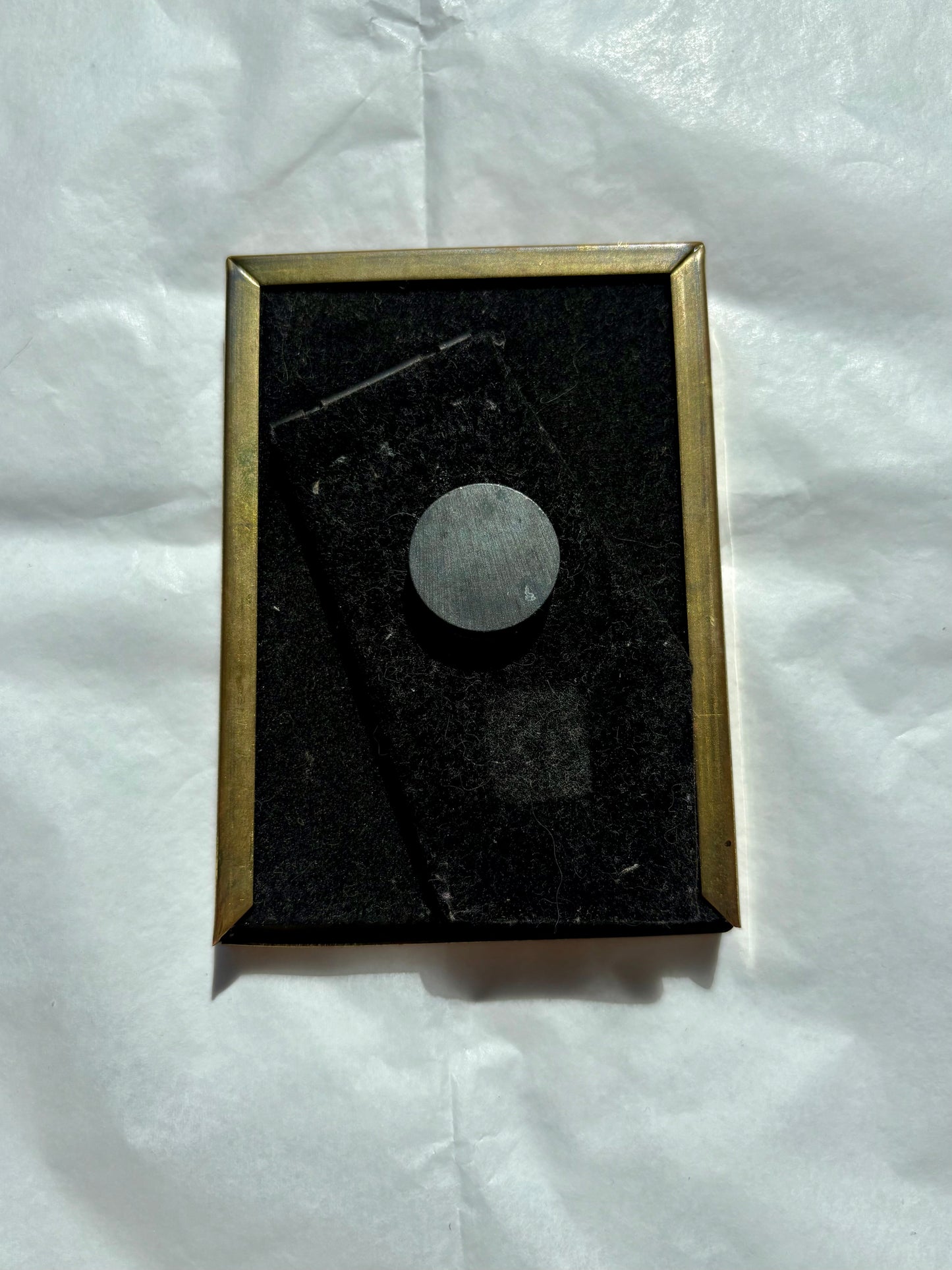 Magnet - Framed cat