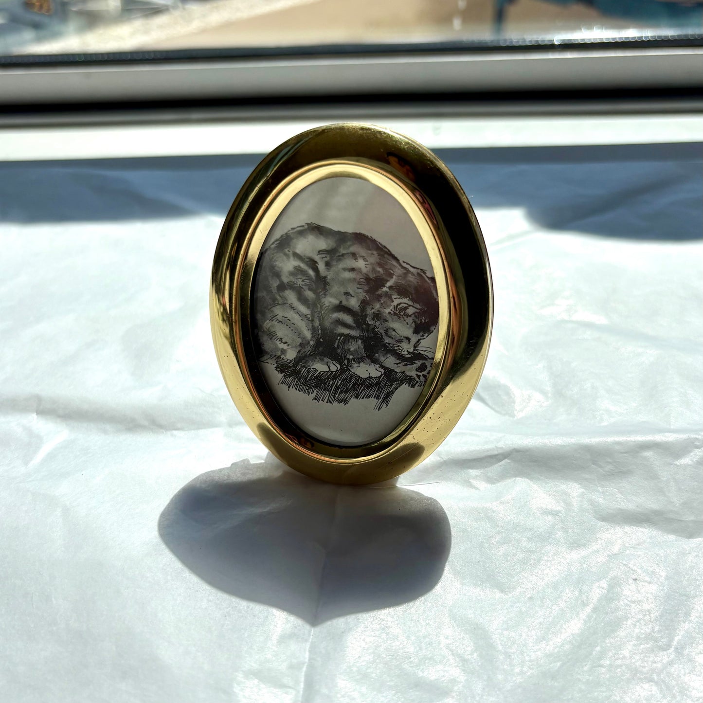 Magnet - Framed cat