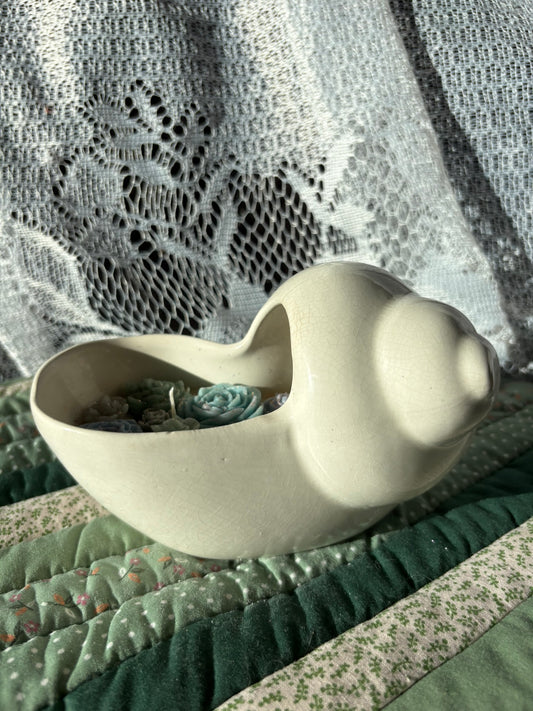 Shell candle